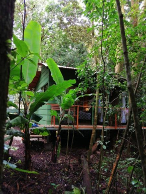 Tree houses Bosque Nuboso Monteverde